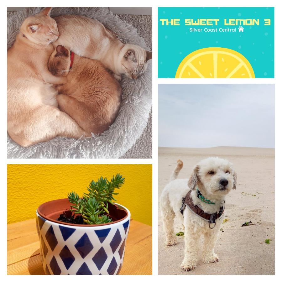 The Sweet Lemon 3 Apartment Bombarral Exterior photo